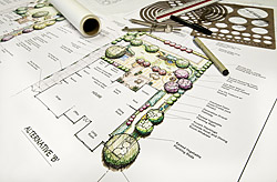 Landscape Design Sarasota, FL