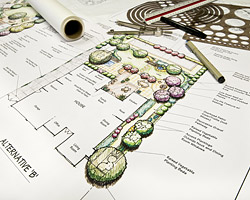 Landscape Design Sarasota, FL