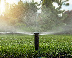 Landscape Installations, Venice, FL Landscape Installations, Venice, FL