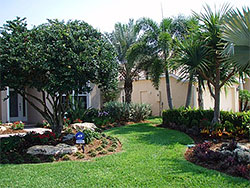 Landscape Maintenance, Sarasota, FL