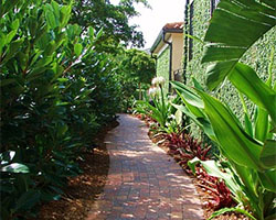 Landscape Maintenance, Sarasota, FL Landscape Maintenance, Sarasota, FL