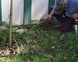 Pest Control Sarasota, FL