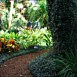 Landscape Maintenance Gallery