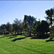 Landscape Maintenance Gallery