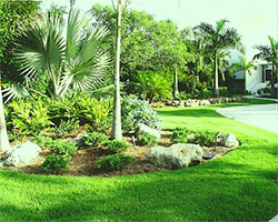 Lawn Mowing, Sarasota, FL